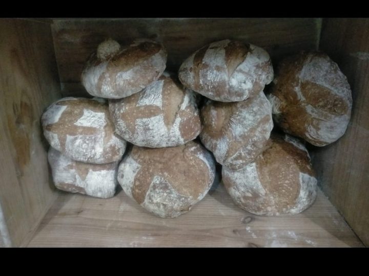 forno-nercellas- (4)