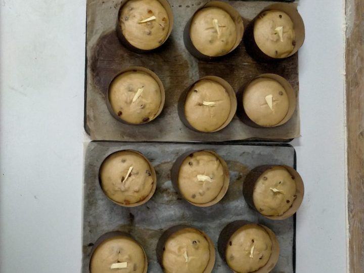 forno-nercellas- (7)